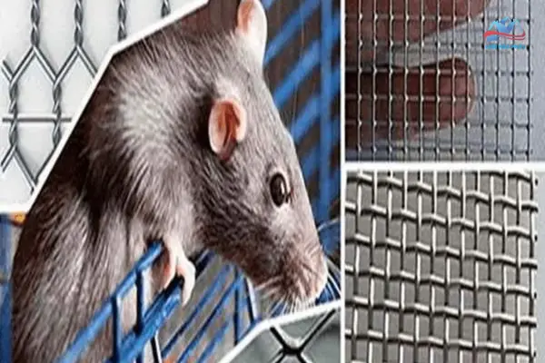 Cửa Lưới Chống Chuột Inox | Ưu Điểm | Cách Lựa Chọn