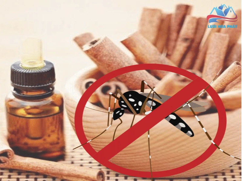 Tinh dầu quế có đuổi muỗi được không? Cơ chế hoạt động khoa học