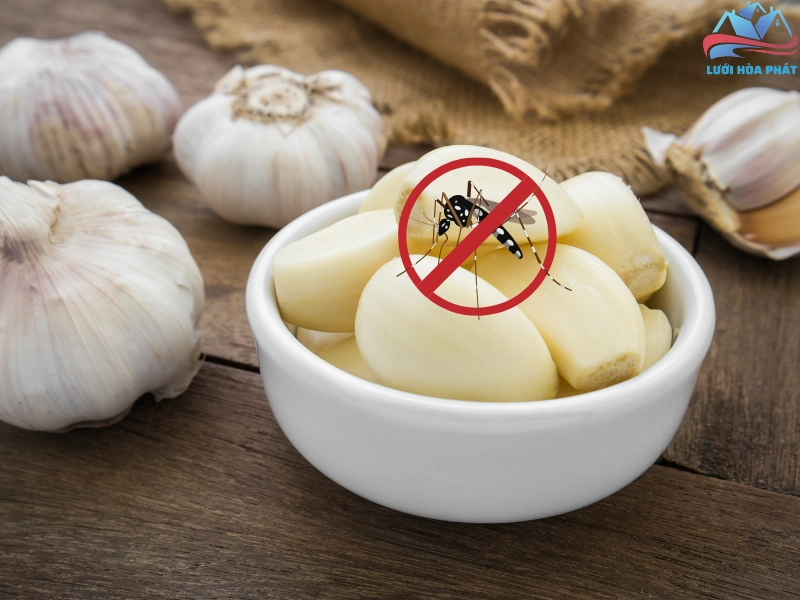 Cách đuổi muỗi dân gian tại nhà bằng tỏi
