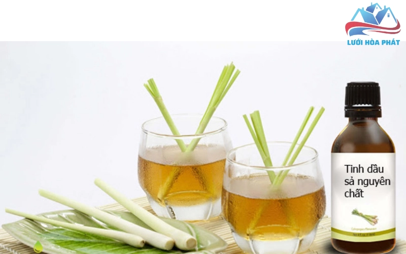 Tinh dầu sả chanh đuổi muỗi có thực sự hiệu quả