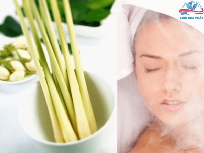 Xông hơi bằng sả để xua đuổi muỗi