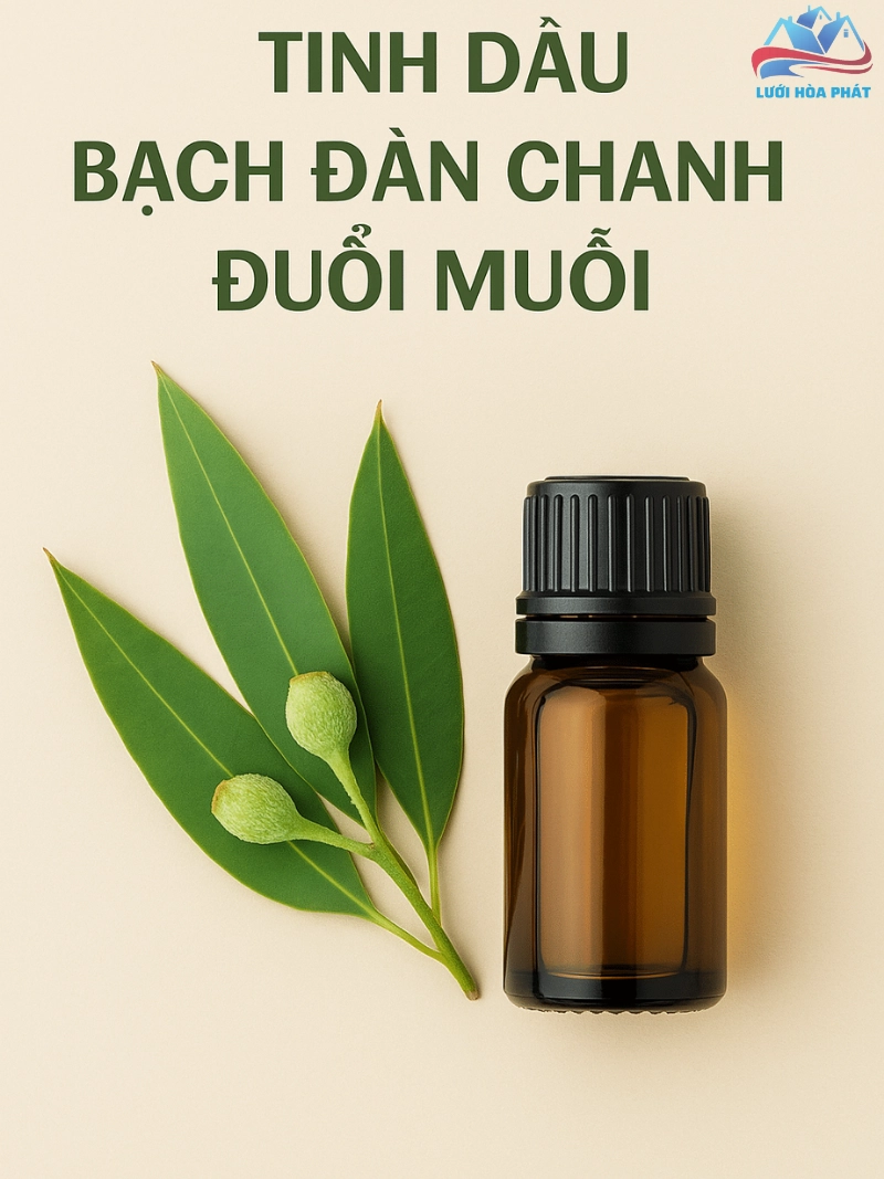 Tinh dầu bạch đàn chanh giúp đuổi muỗi hiệu quả