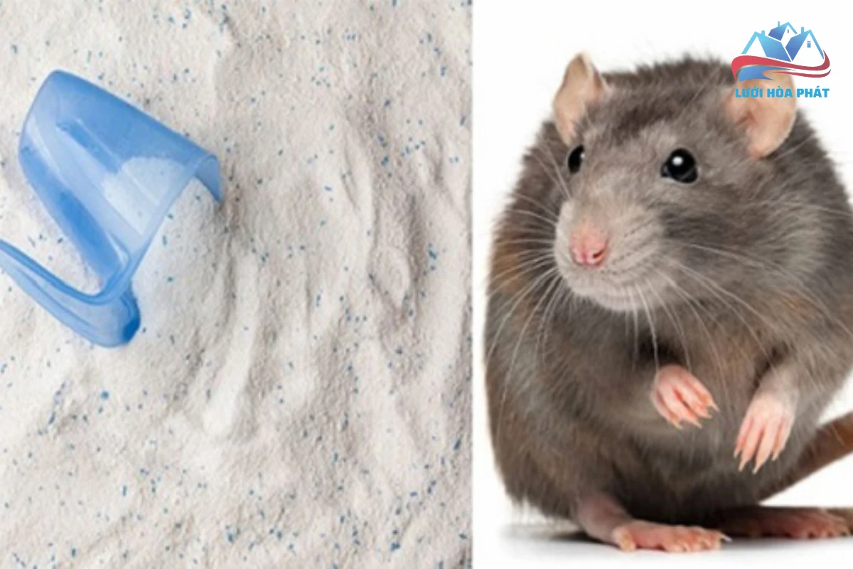 cách đuổi chuột bằng bột giặt