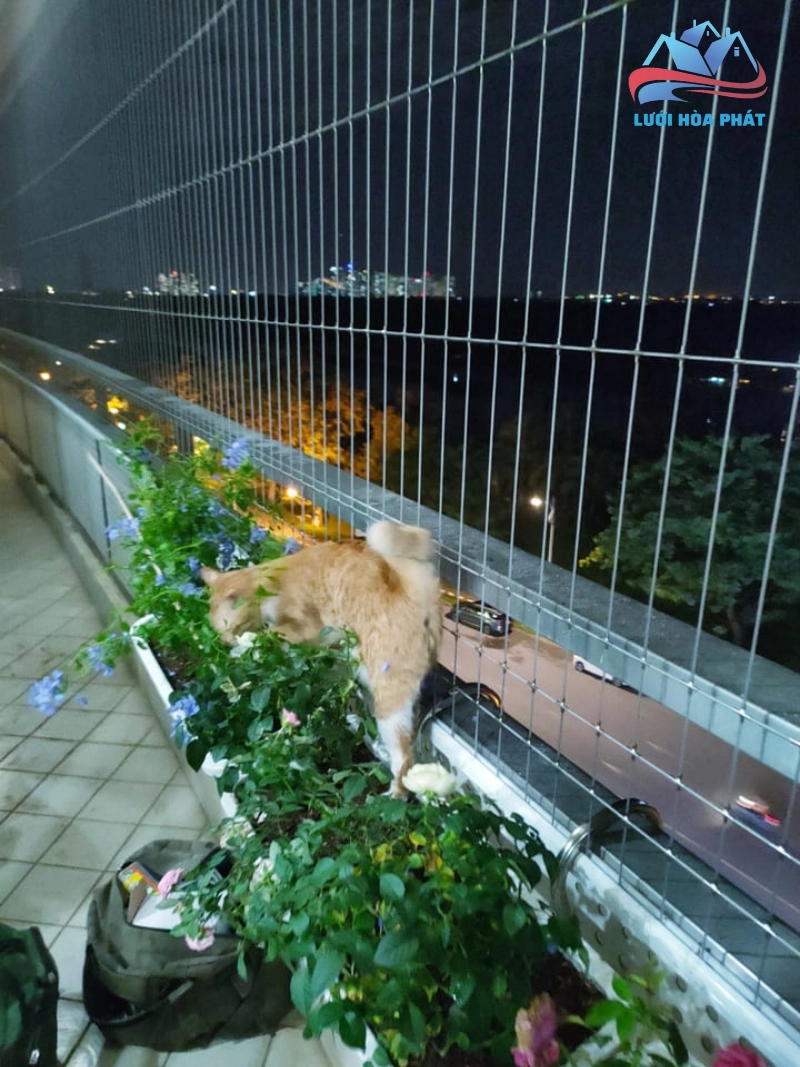 Lợi ích của lưới an toàn chung cư so với các giải pháp khác