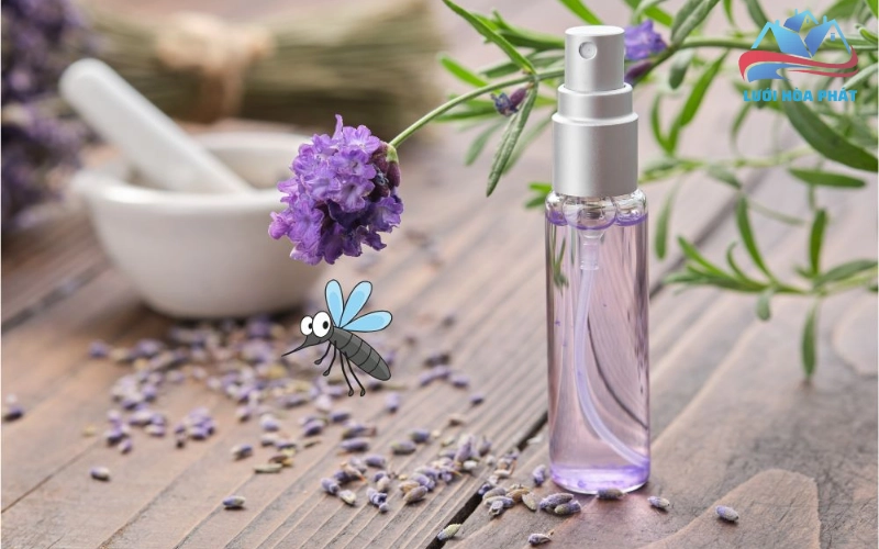 Hợp chất linalool trong hoa có tác dụng đuổi muỗi, bướm đêm và bọ chét