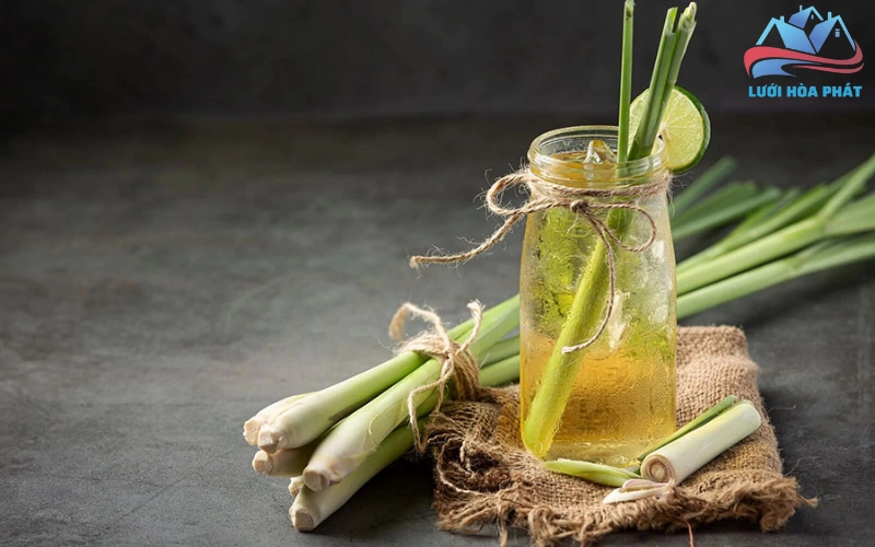 Các lợi ích khác của tinh dầu sả chanh