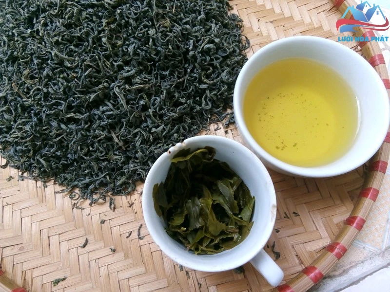 Đuổi muỗi bằng bã chè là cách an toàn, dễ thực hiện tại nhà