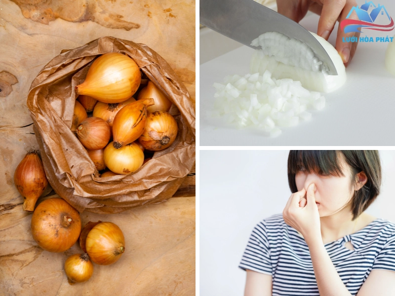 Xua đuổi muỗi bằng hành tây có thể sẽ gây khó chịu cho một số người nhạy cảm với mùi hương