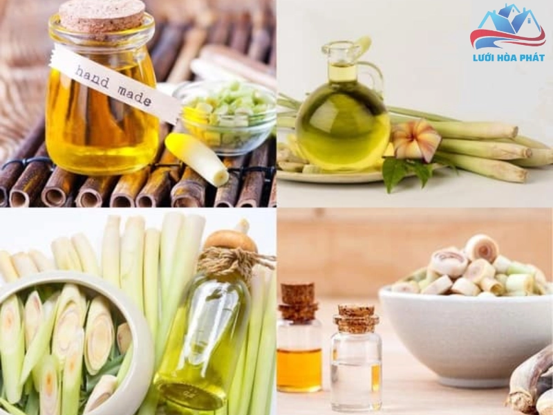 Hướng dẫn sử dụng tinh dầu sả chanh đuổi muỗi hiệu quả tại nhà