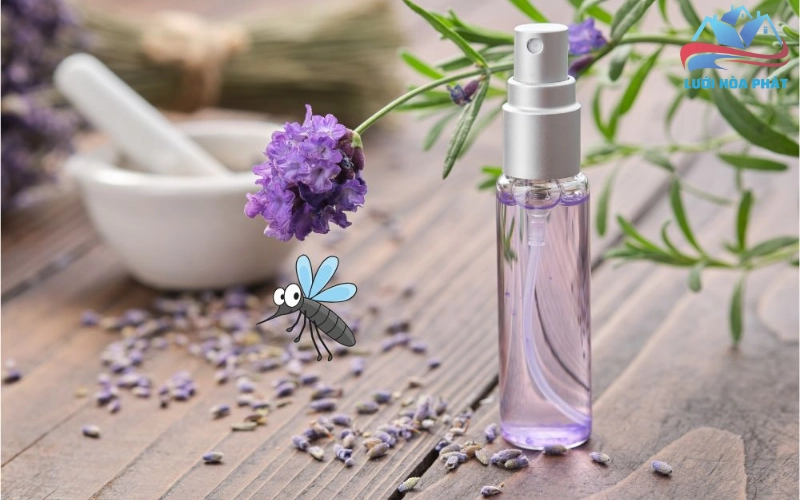 Hiệu quả đuổi muỗi của hoa oải hương đến từ các hợp chất tự nhiên có trong cây