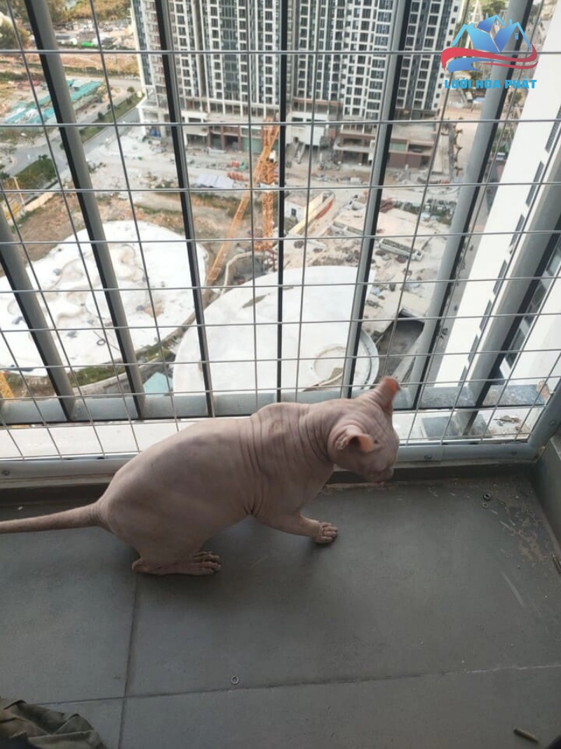 Lưới an toàn bảo vệ thú cưng chống thú cưng bỏ trốn hoặc đi lạc