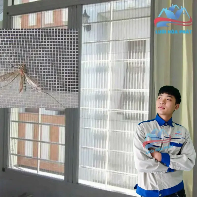 Giải pháp toàn diện cho không gian sống không muỗi