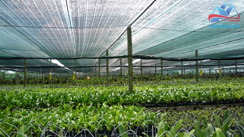 Lưới an toàn công nghiệp và nông nghiệp