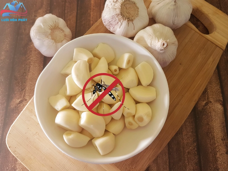Đuổi muỗi bằng tỏi an toàn, tiết kiệm chi phí