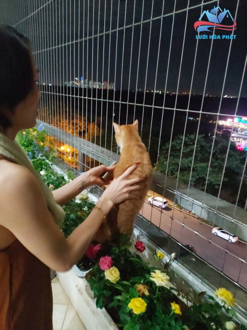 Khi lắp đặt lưới bảo vệ thú cưng hãy lựa chọn đơn vị cung cấp và lắp đặt uy tín