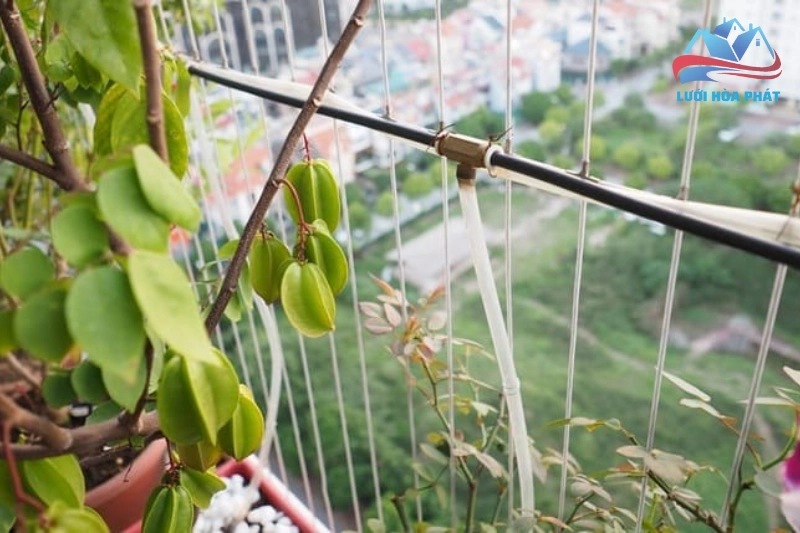 Hướng dẫn bảo dưỡng lưới an toàn nhà phố định kỳ