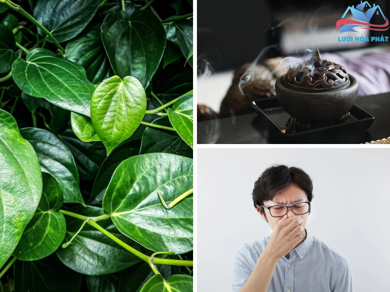 Khói khi xông lá trầu đuổi muỗi có thể gây khó chịu cho một số người nhạy cảm mùi hương