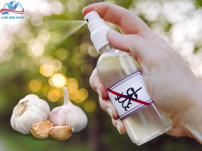 Xịt dung dịch tỏi đuổi muỗi