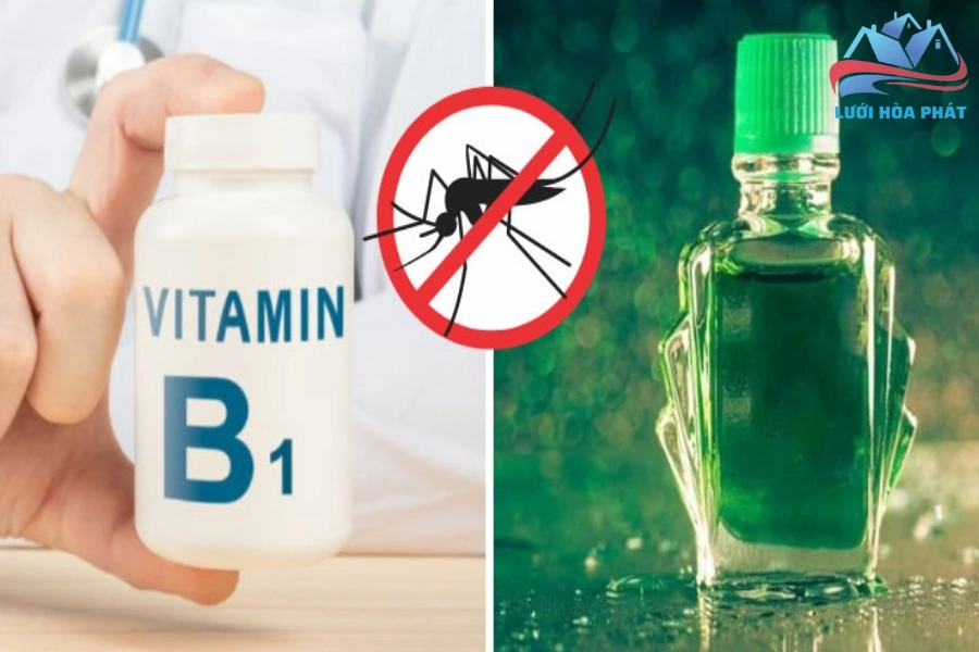 Đuổi Muỗi Bằng Thuốc B1: Biện Pháp Đơn Giản Và Hiệu Quả Cho Không Gian Sống Của Bạn 