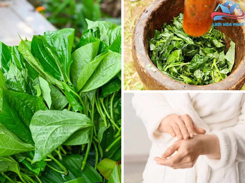 Giã nát lá trầu không và thoa lên da để xua đuổi muỗi