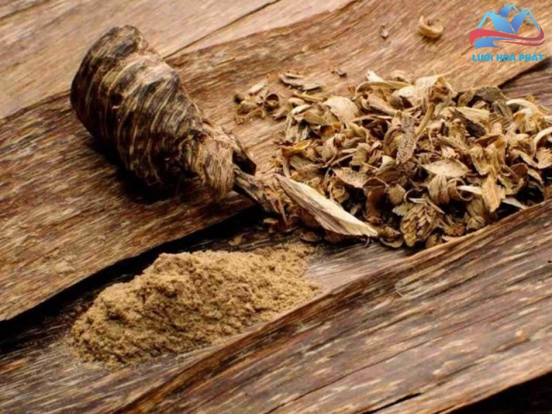 Hướng dẫn trồng và chăm sóc cây thân gỗ đuổi muỗi