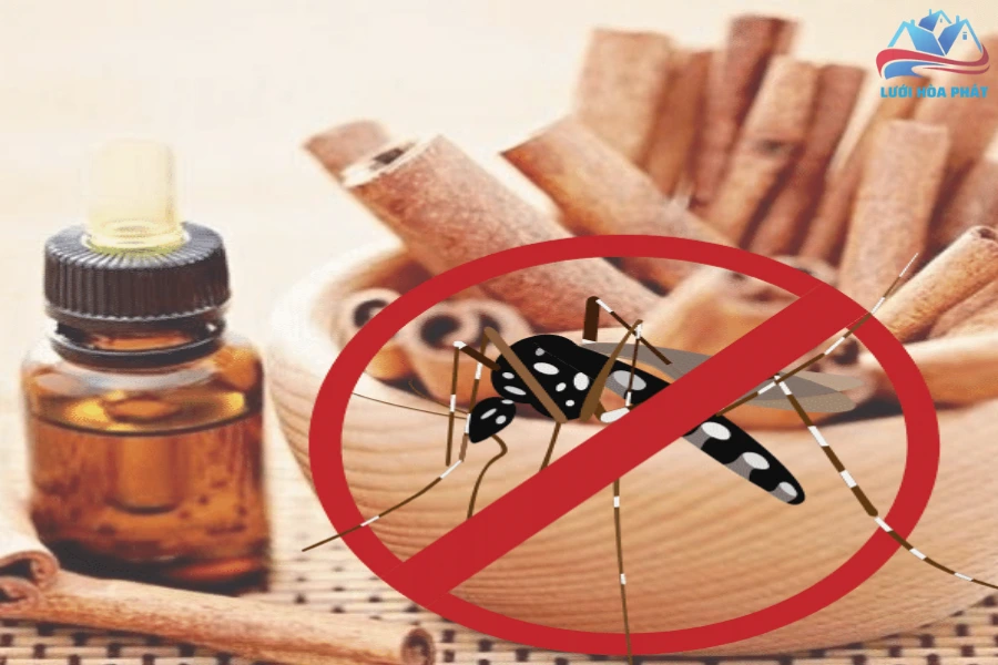 Đuổi Muỗi Bằng Tinh Dầu Quế: Giải Pháp Toàn Diện Đảm Bảo Sức Khỏe Cho Gia Đình Bạn 