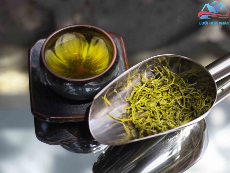 Rải bã chè tươi quanh nhà để đuổi muỗi