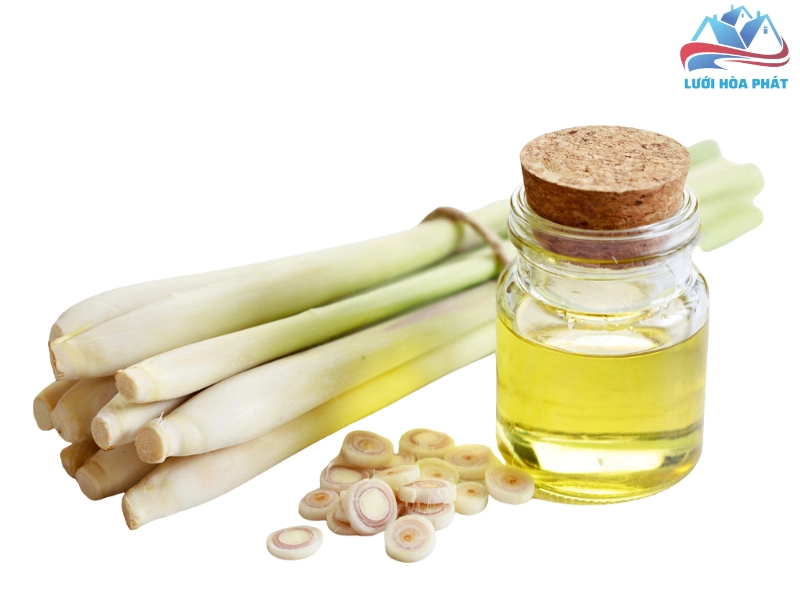 Cách làm tinh dầu sả chanh tại nhà đơn giản và hiệu quả