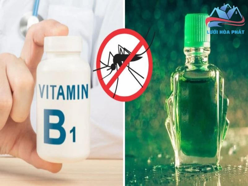Vitamin B1 (Thiamine) và khả năng xua đuổi muỗi
