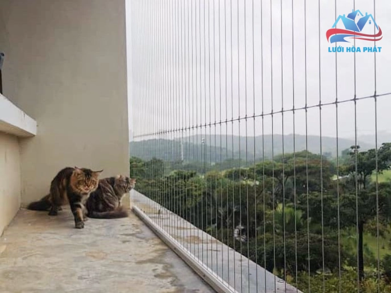 Lưới an toàn còn phải đảm bảo tính thẩm mỹ, hài hòa với kiến trúc