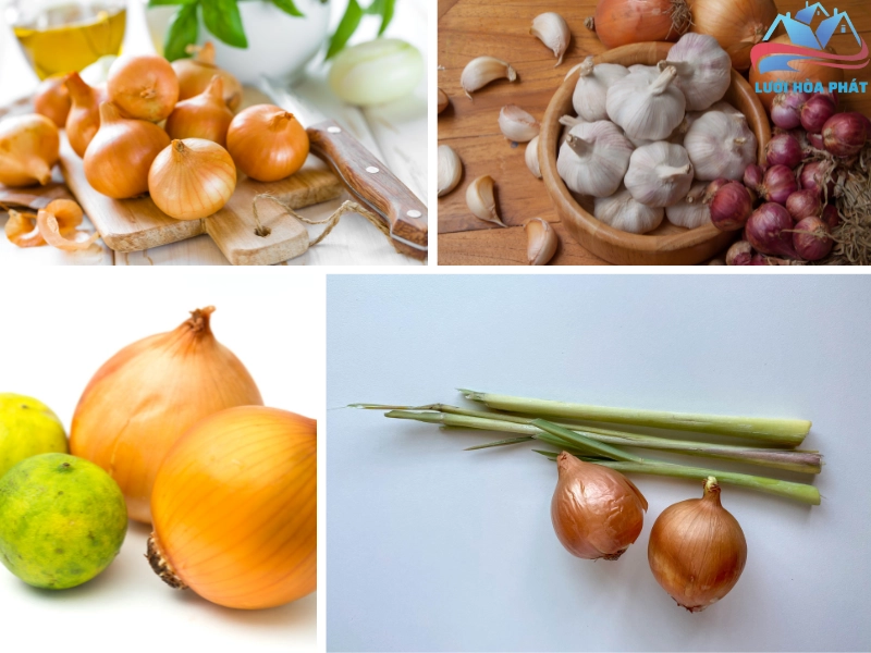 Kết hợp hành tây với các nguyên liệu khác để giúp gia tăng hiệu quả đuổi muỗi