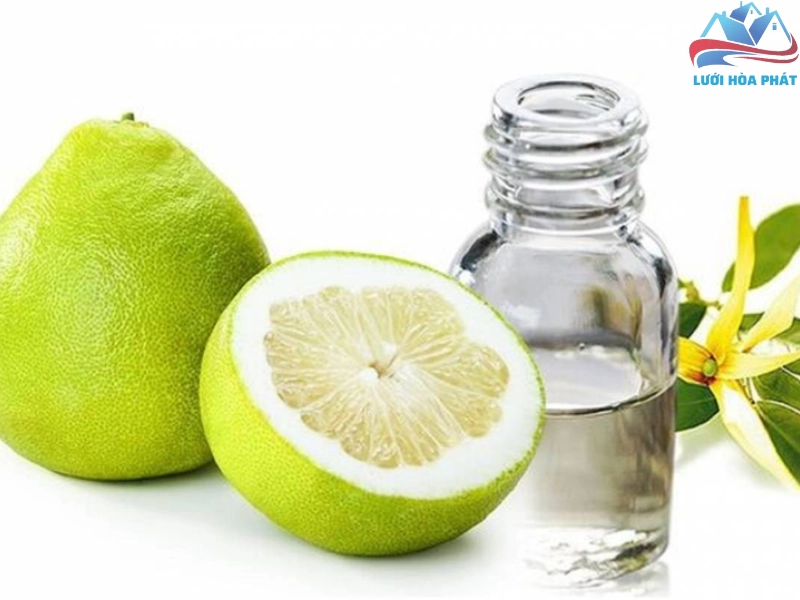 Làm tinh dầu vỏ bưởi để đuổi muỗi