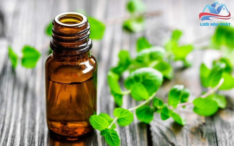 Lưu ý quan trọng về độ an toàn khi sử dụng