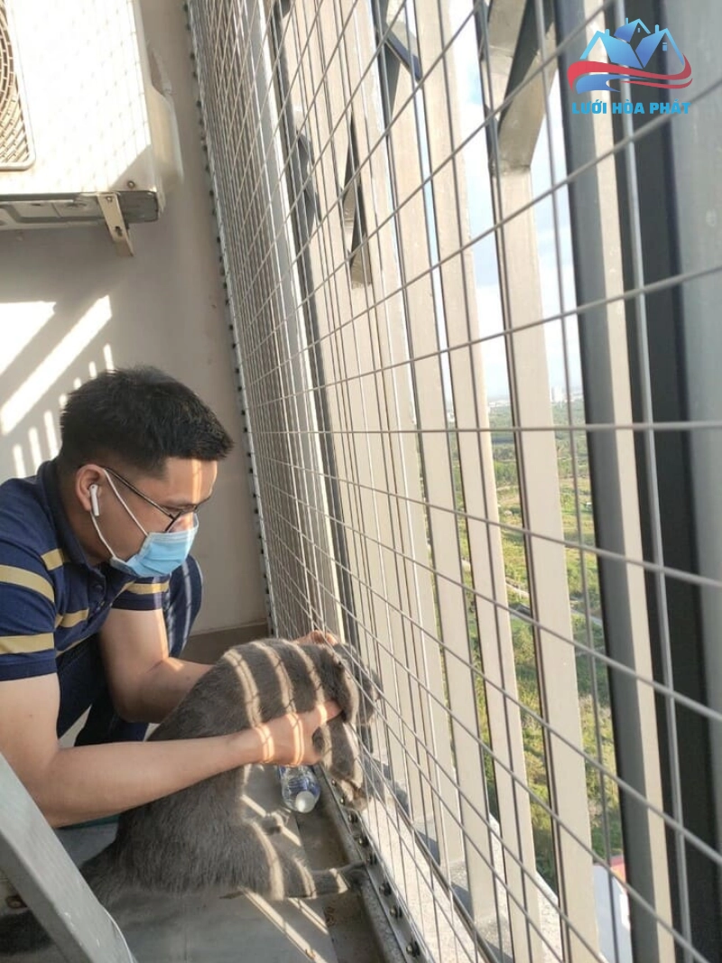 Lợi ích vượt trội khi sử dụng lưới an toàn cho thú cưng