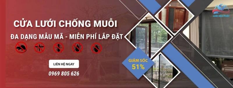 Những loại cửa lưới chống muỗi tại huyện cần giờ đẹp mắt nhất