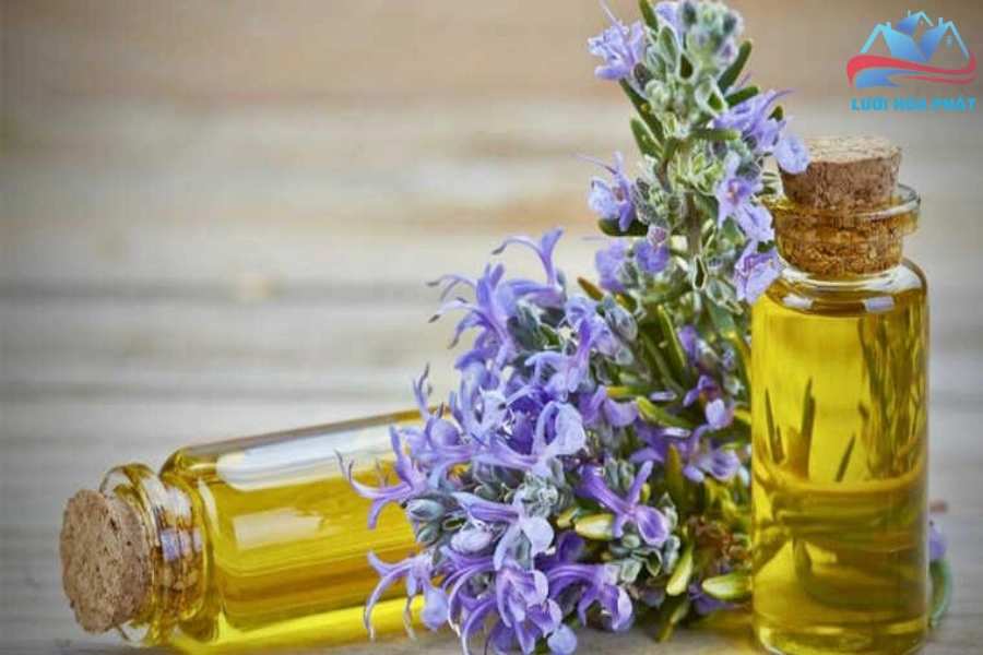 Đuổi Muỗi Bằng Tinh Dầu Hương Thảo: Giải Pháp Từ Nhiên Nhiên Bảo Vệ Gia Đình Bạn Khỏi Muỗi 