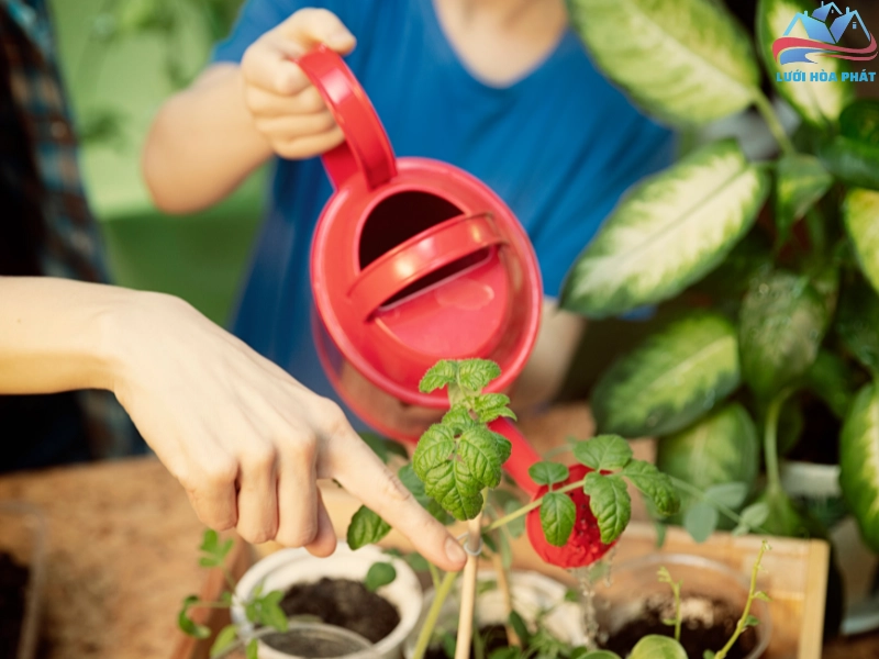 Cách chăm sóc các loại cây đuổi muỗi