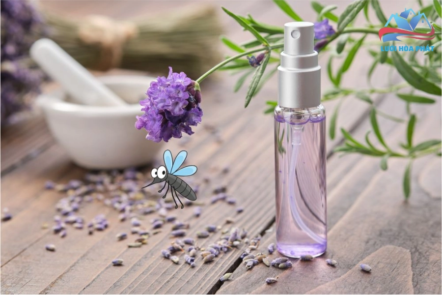 Hoa Oải Hương Có Tác Dụng Đuổi Muỗi: Giải Pháp Hiệu Quả Và Những Lưu Ý Cần Biết