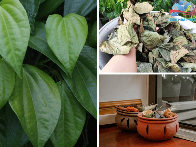 Xông lá trầu đuổi muỗi