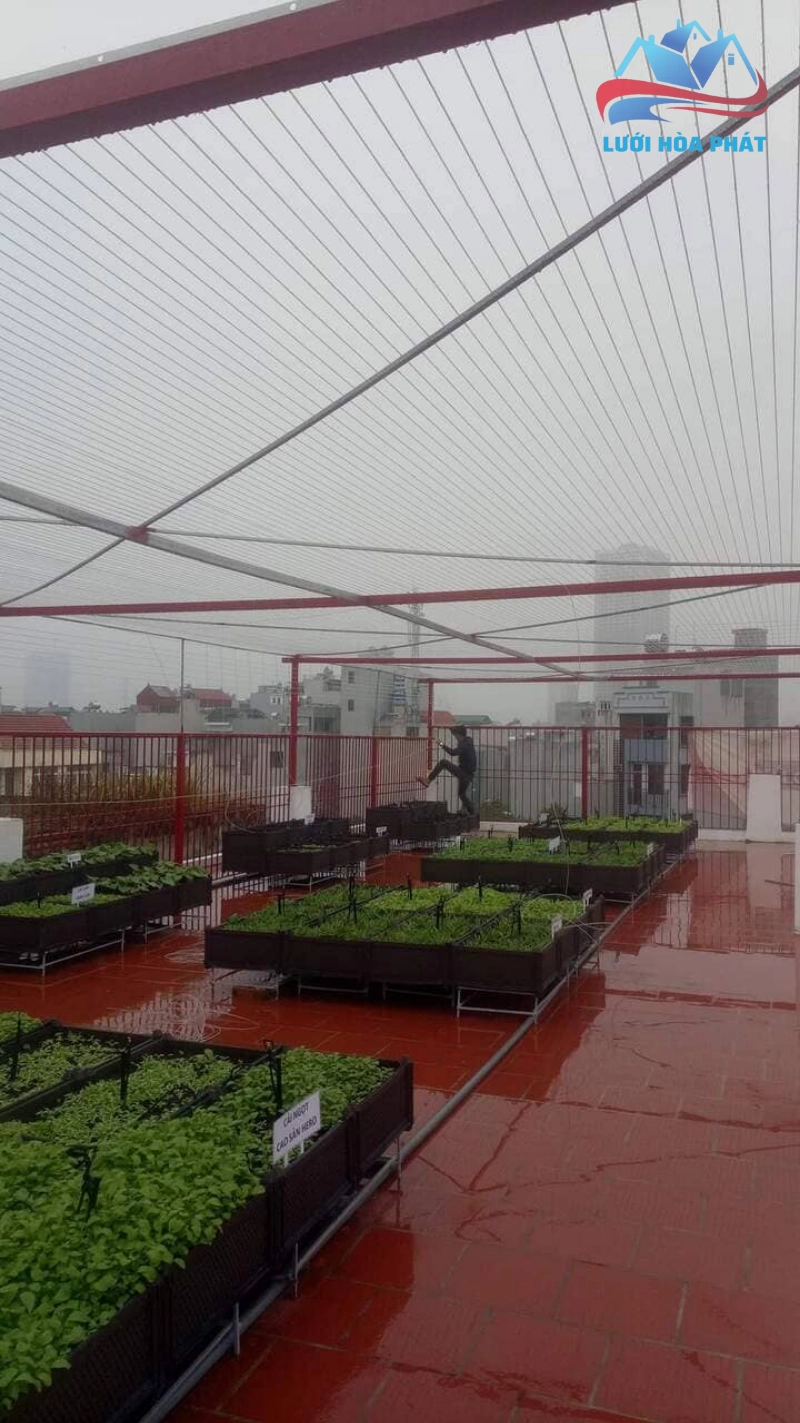 Tổng quan về lưới an toàn sân thượng