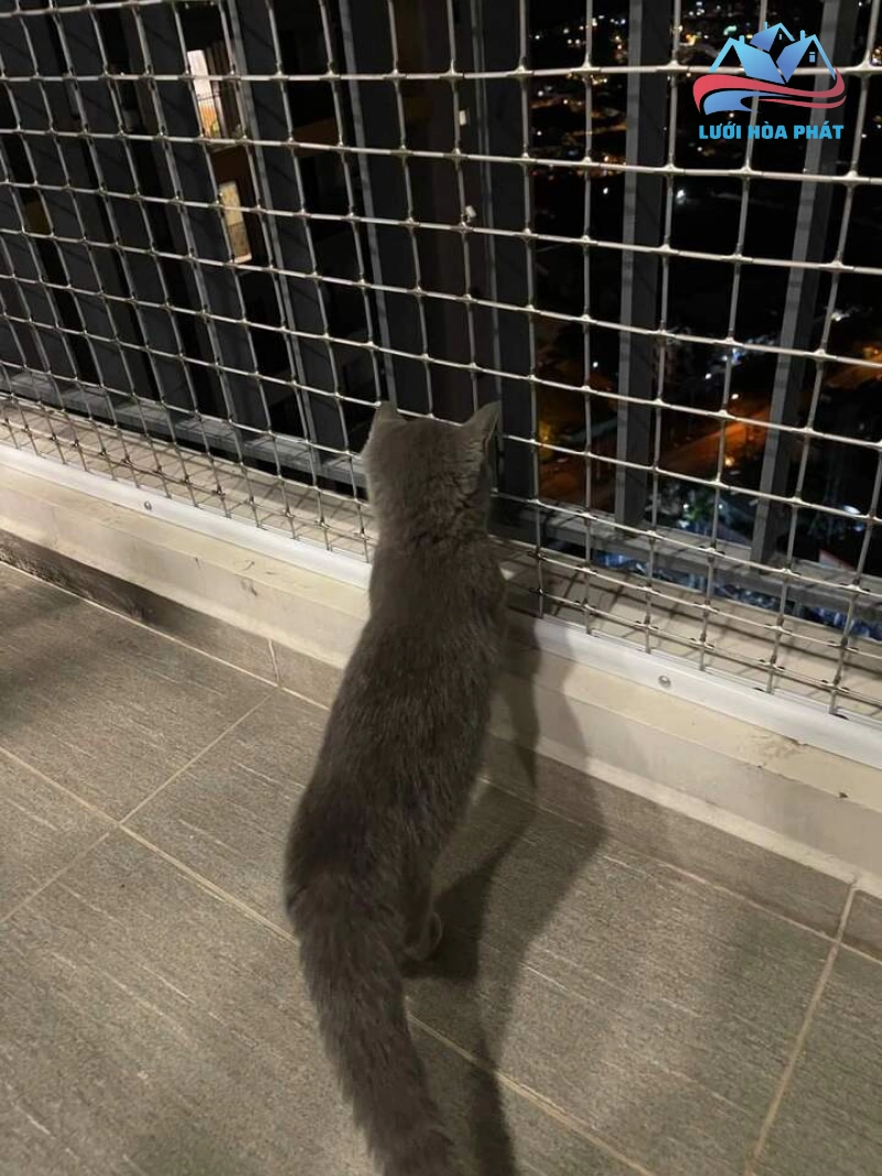 Độ bền cao và khả năng chống chịu tác động từ thú cưng