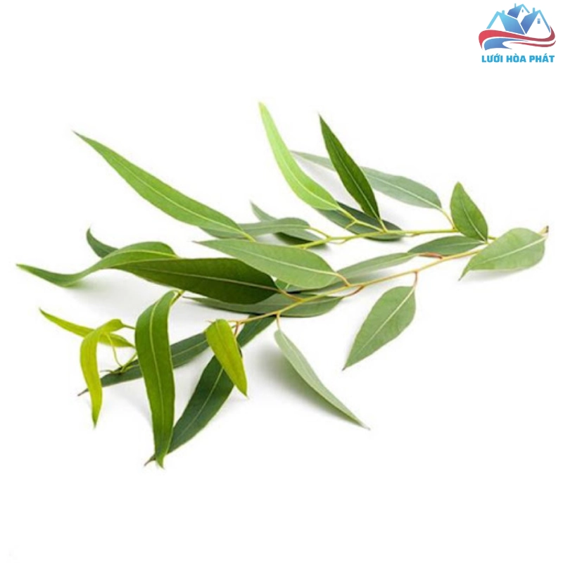 Những lưu ý quan trọng về độ an toàn