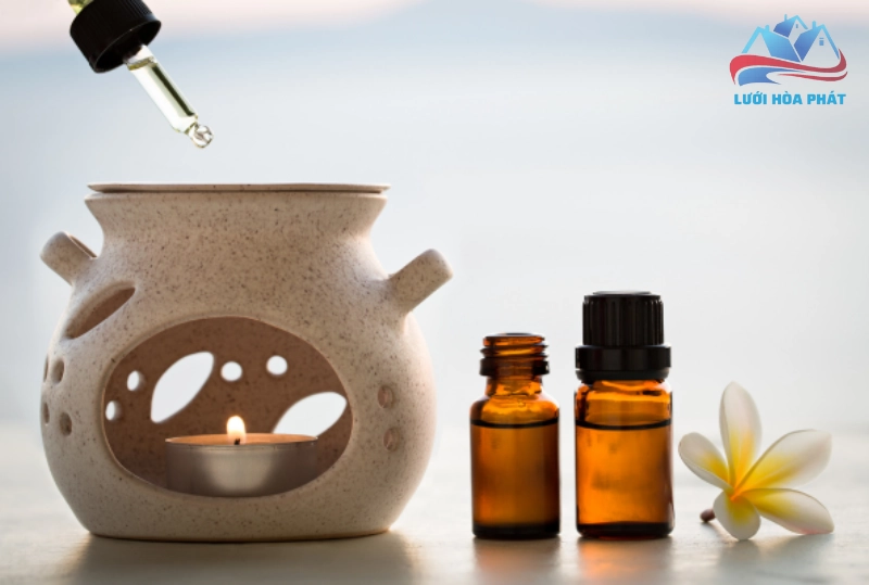 Các bước sử dụng cơ bản