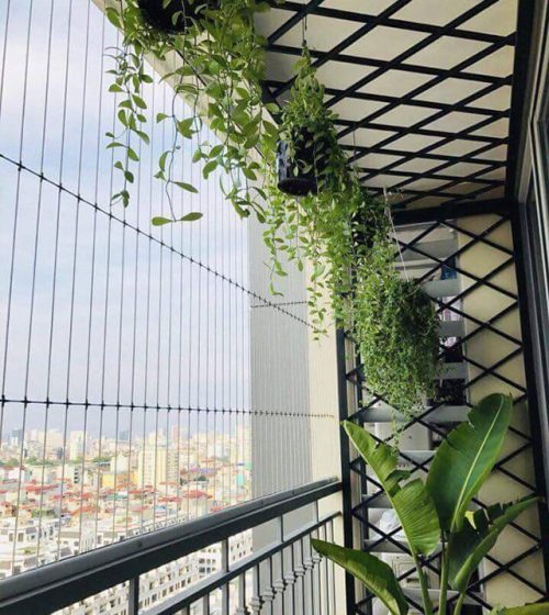 Lưới an toàn ban công chung cư