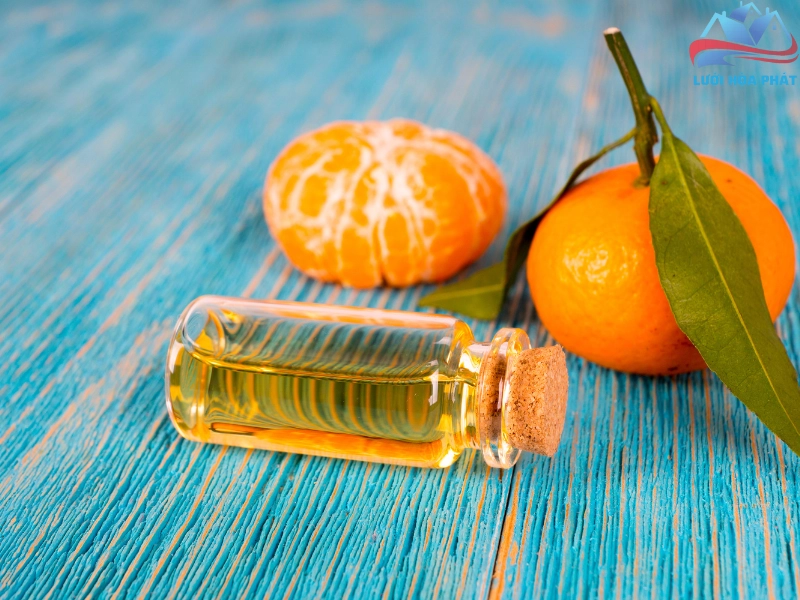 Làm tinh dầu vỏ quýt để xua đuổi muỗi