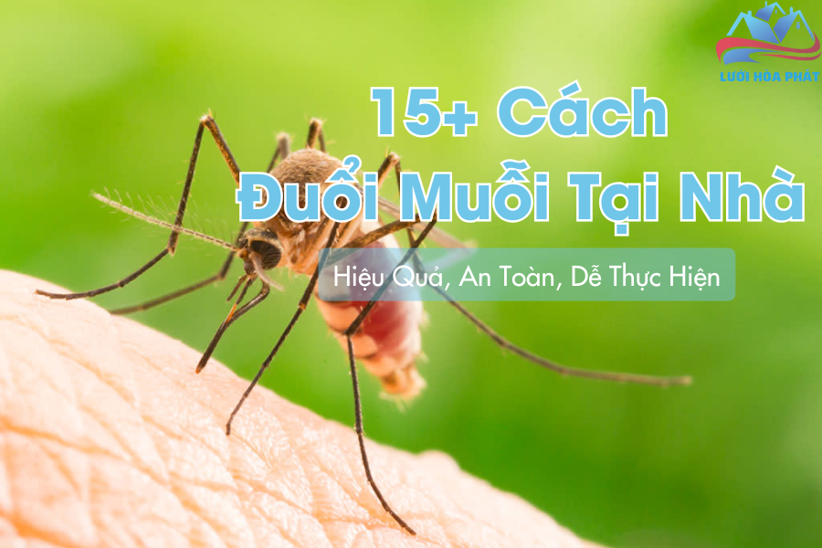 15+ Cách Đuổi Muỗi Tại Nhà Hiệu Quả, An Toàn, Dễ Thực Hiện