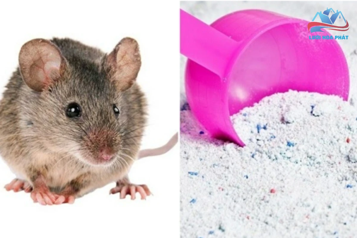 cách đuổi chuột bằng bột giặt