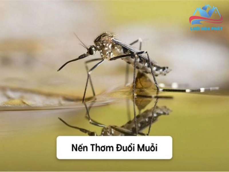 Phân tích khoa học về khả năng xua muỗi của nến thơm