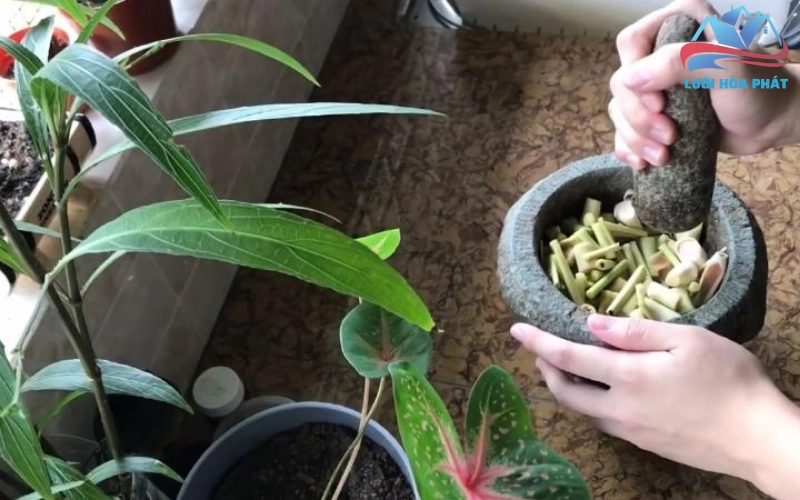 Lưu ý quan trọng khi sử dụng, đặc biệt cho trẻ nhỏ