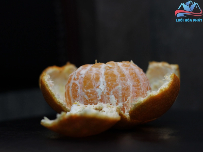 Đặt vỏ quýt tươi trong nhà đuổi muỗi